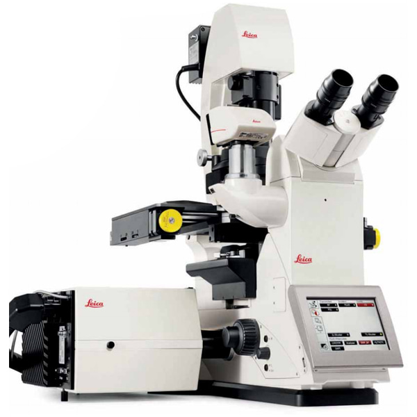 라이카 공초점 레이저 현미경