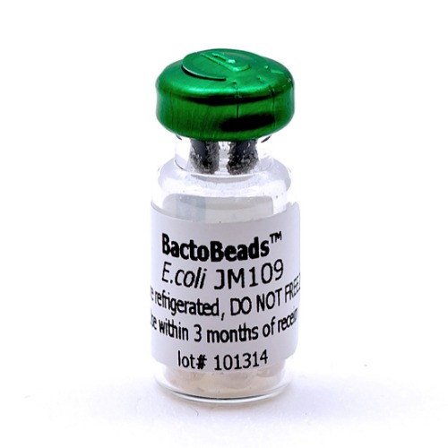 박토비드 E. coli JM109